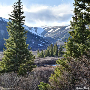 view up wild valley in colorado in spring with willows snow drifts and mountains