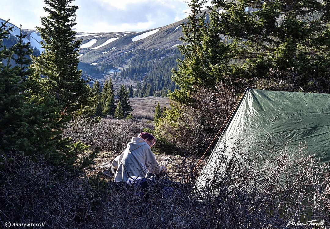 wild camping in colorado among willows with snow on mountains in the spring