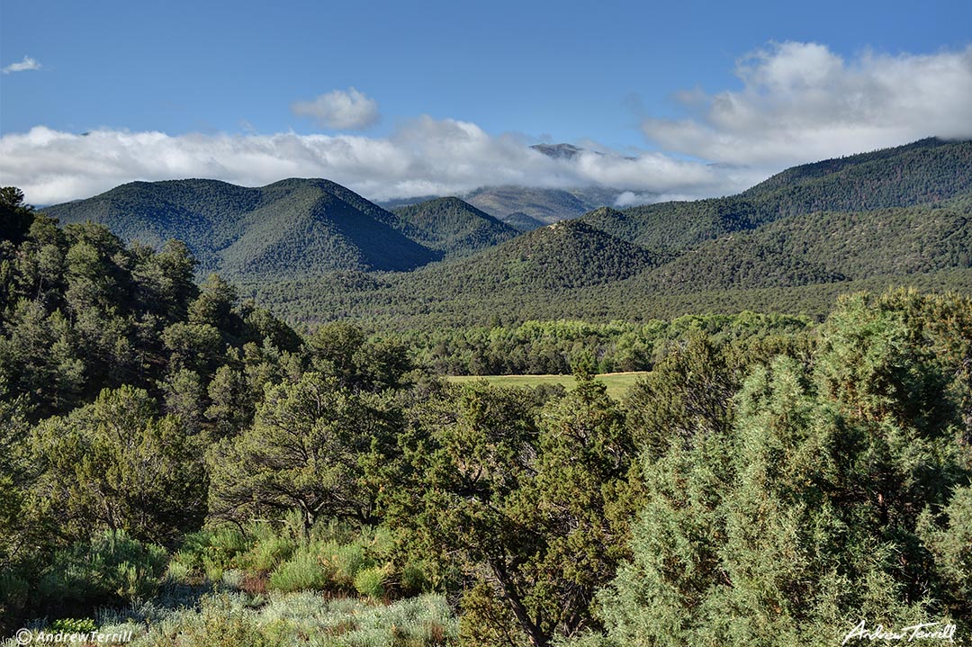 forests and clouds colorado sangre di crusto range