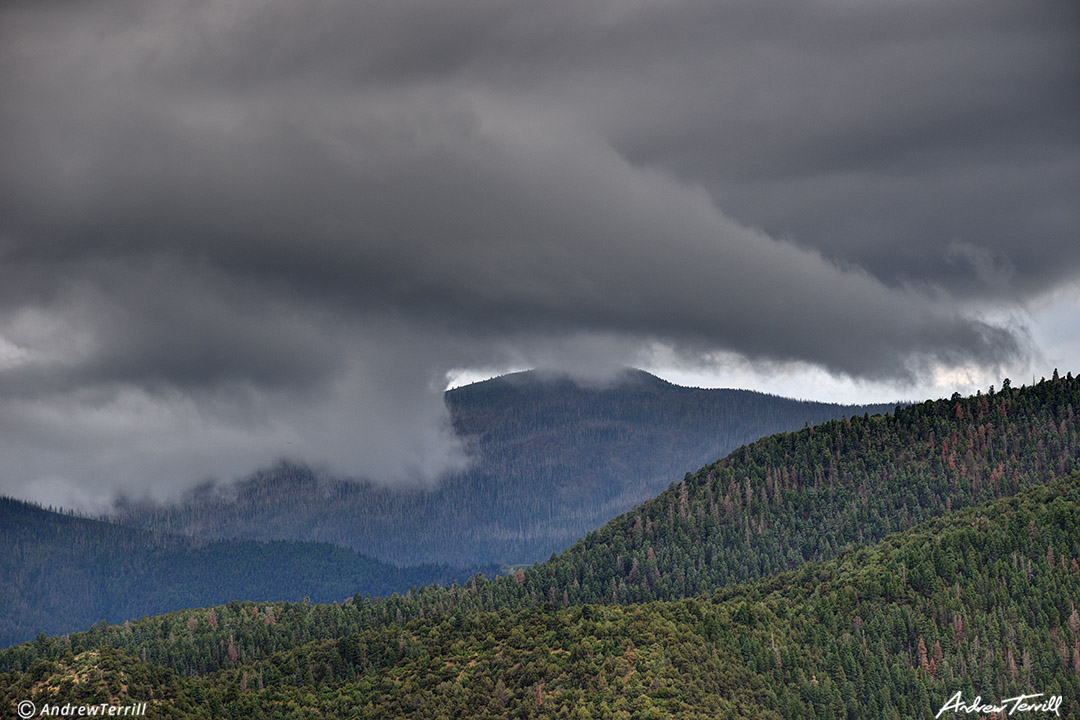 storm clouds moving in across colorado forest