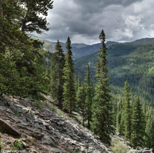 Chicago Lakes Trail Mount Evans Wilderness