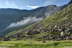 morning mist mount evans colorado