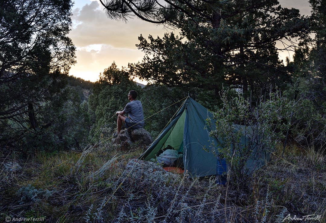 camp and tent on forest at sunset colorado