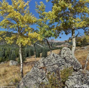 indian peaks wilderness aspen