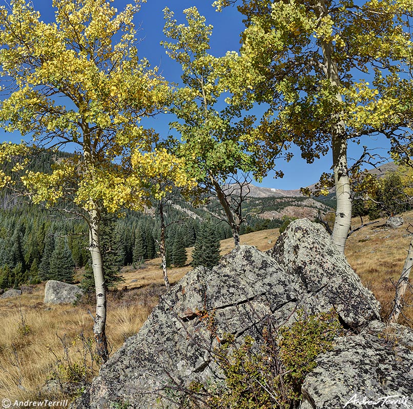 indian peaks wilderness aspen