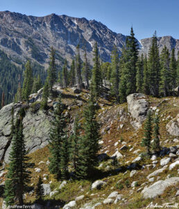 indian peaks wilderness near jasper lake colorado