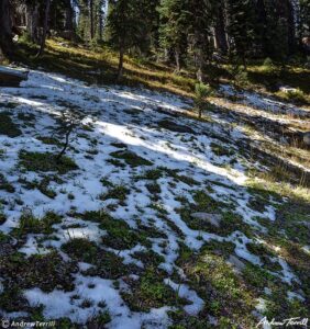 first snow indian peaks wilderness colorado