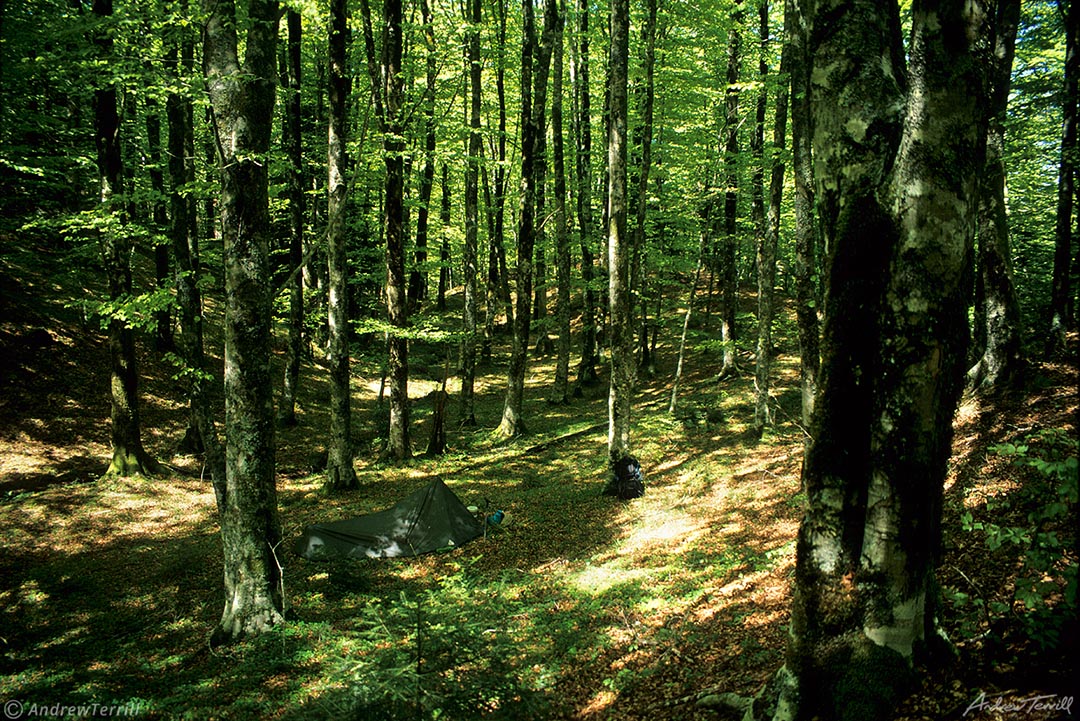 Paradise Glade Apennine Beech Forest wilderness camp May 1997