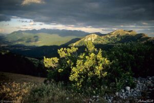 evening light in the abruzzo apennines June 1997