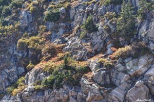 fall mountain slope indian peaks wilderness colorado