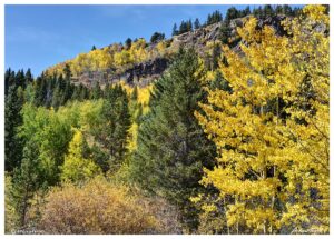 aspen indian peaks wilderness colorado