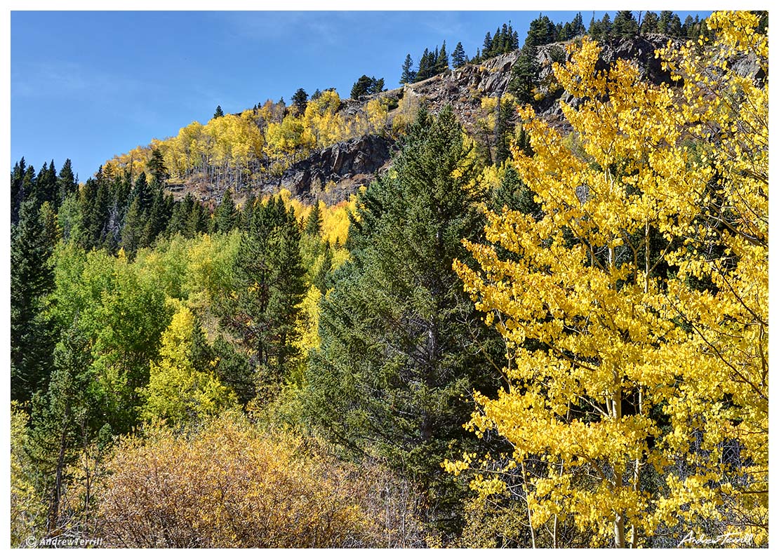 aspen indian peaks wilderness colorado