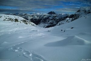 weaving tracks in the austrian alpsOctober 1997