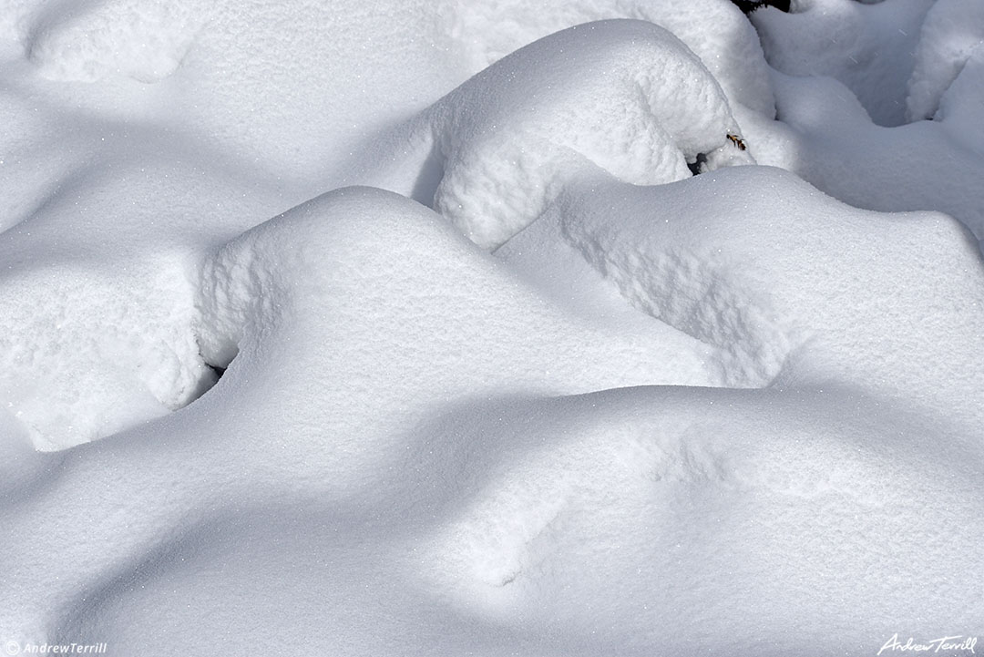 snow buried landscape colorado