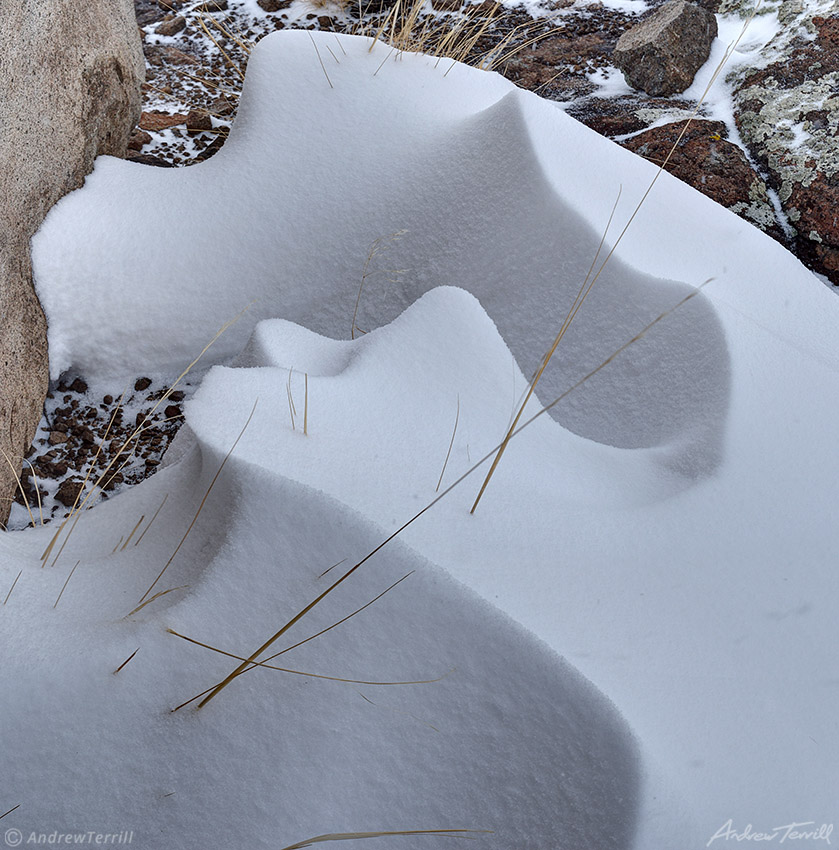 delicate snowdrift