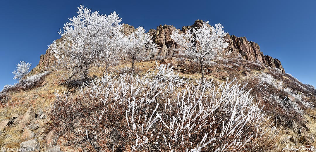 frost beneath golden cliffs