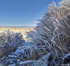 frosted hillside on north table mountain