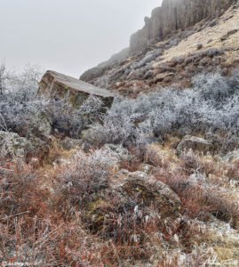 golden cliffs and frosted plants