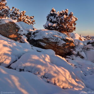 morning light on rocks and juniper