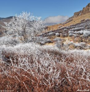 mountain slope and frost golden colorado