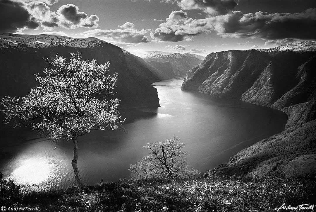 View from camp above the Aurlandsfjord, May 25, 1998.