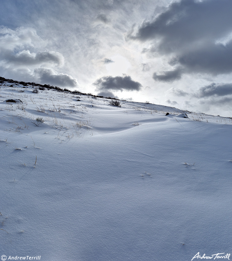 snow and bleak sky