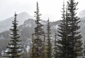 glacier knobs in rocky mountain national park