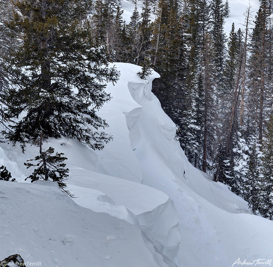 snow cornice in forest wilderness