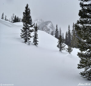 winter in rocky mountain national park