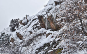 rough slope mount galbraith