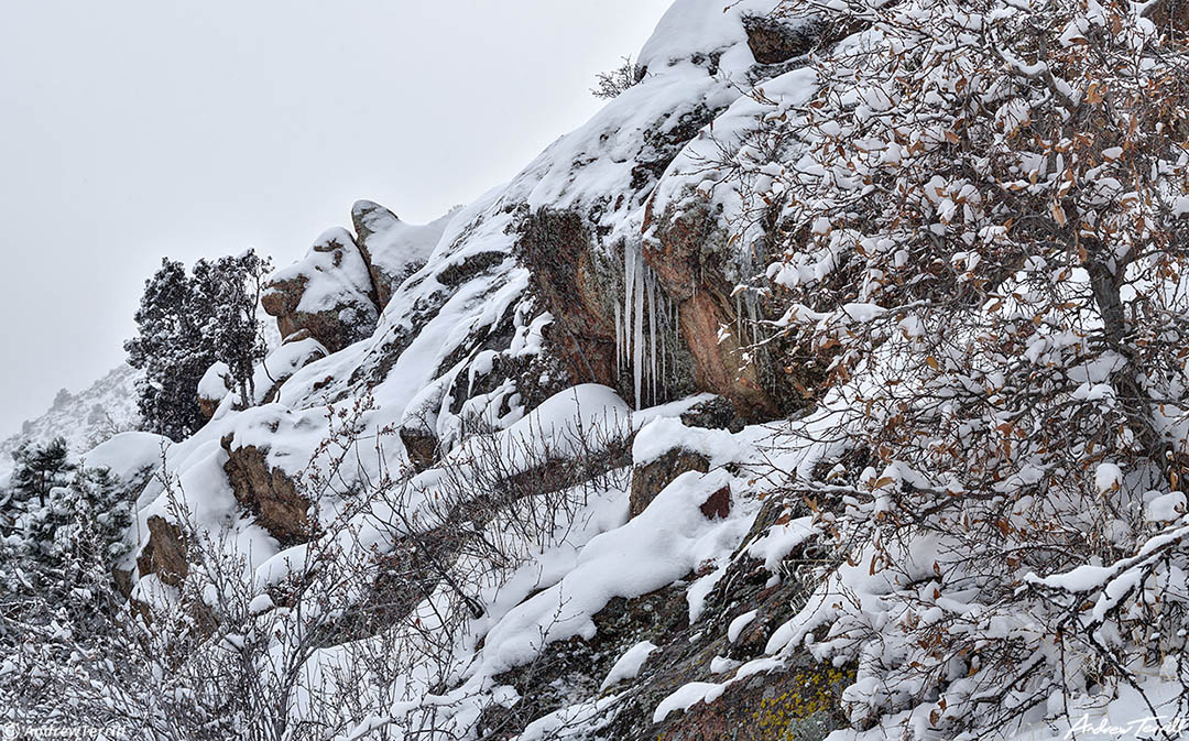 rough slope mount galbraith