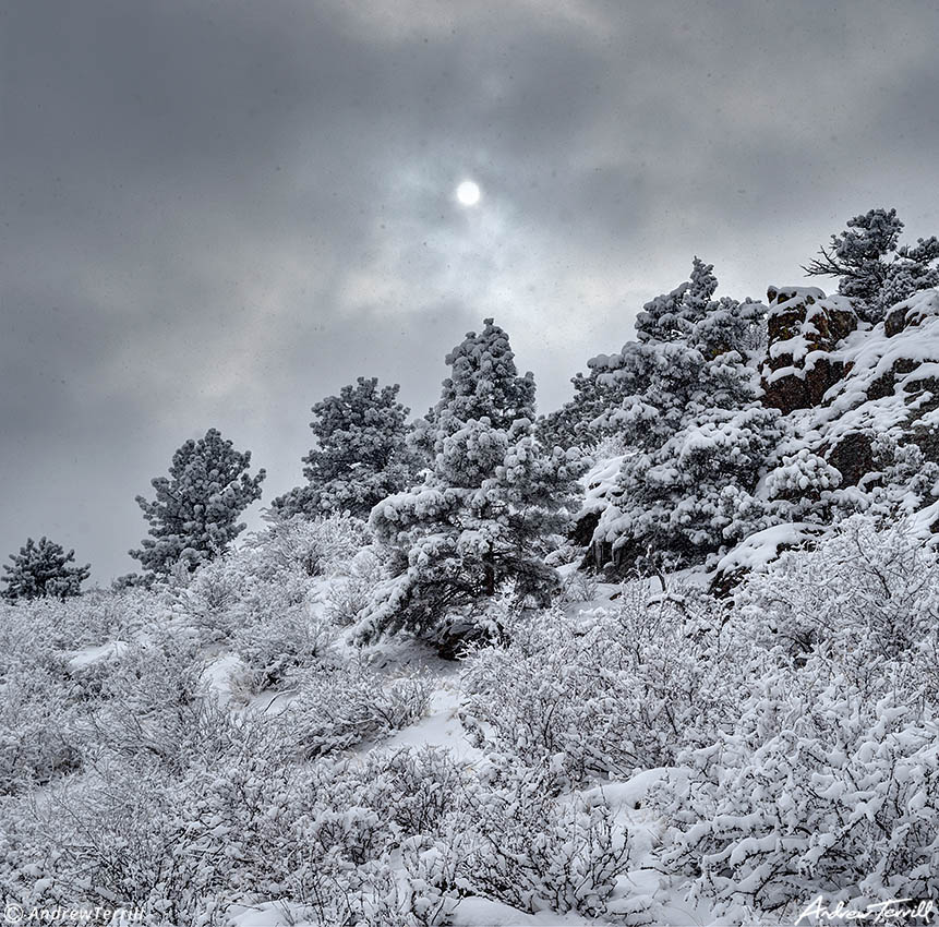 clearing snow storm mount galbraith golden colorado