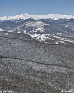 front range colorado and forest in winter