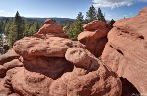 red rocks and forest woodland park colorado