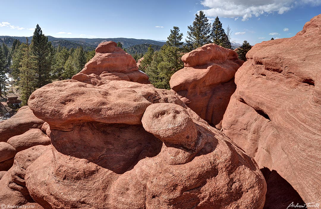 red rocks and forest woodland park colorado