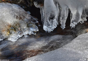 icicles beside rushing stream colorado