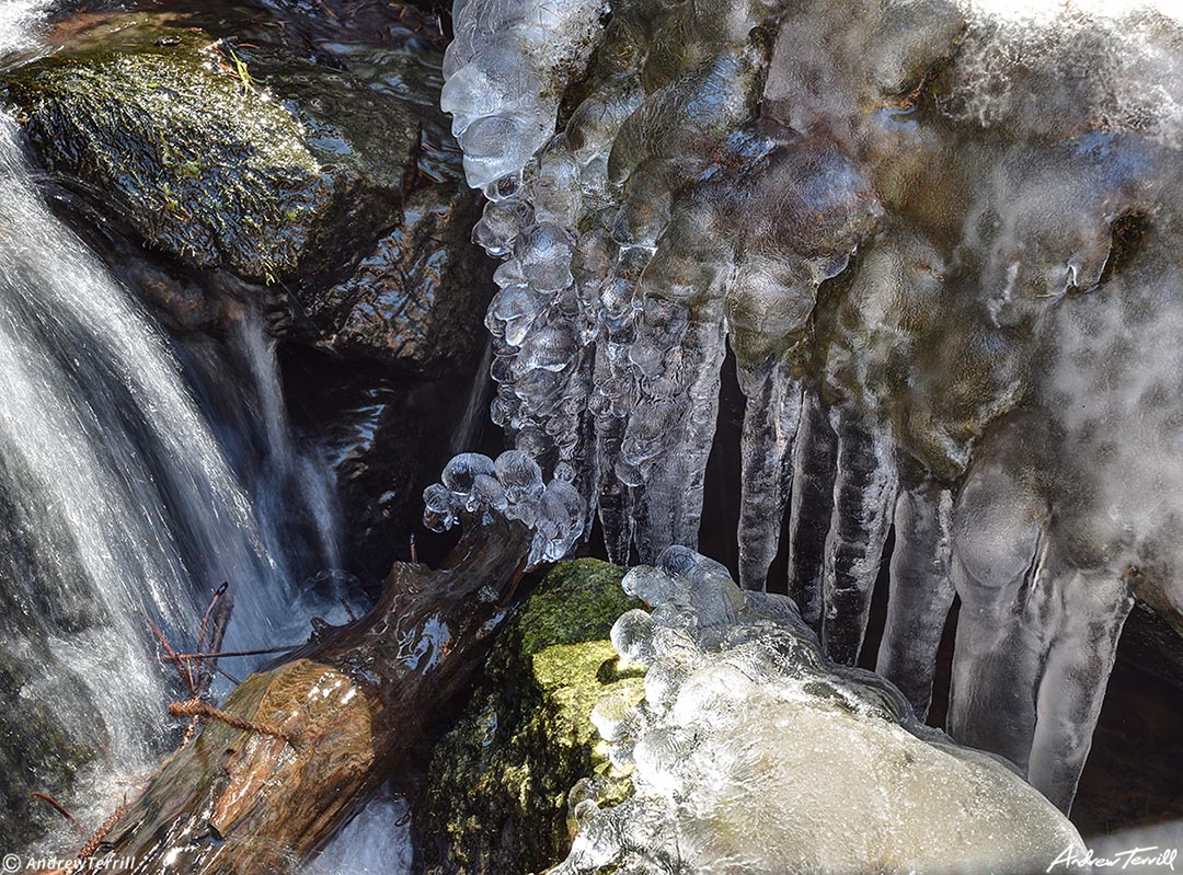 splashing mountain stream moss and ice colorado