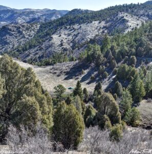 wild camp in colorado foothills