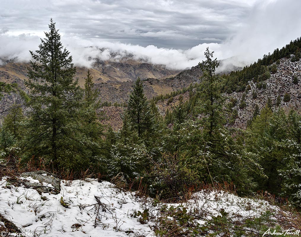 Clear Creek Canyon from the beaver brook trail in may