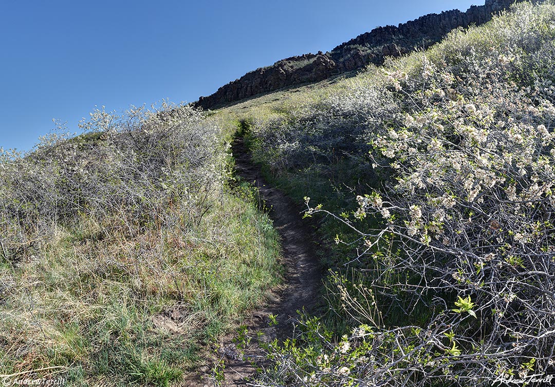 trail up north table mountain golden colorado