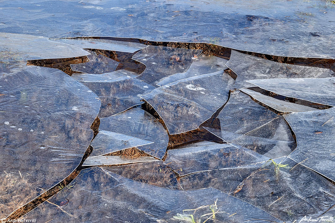 plates of ice guanella pass colorado june 2022