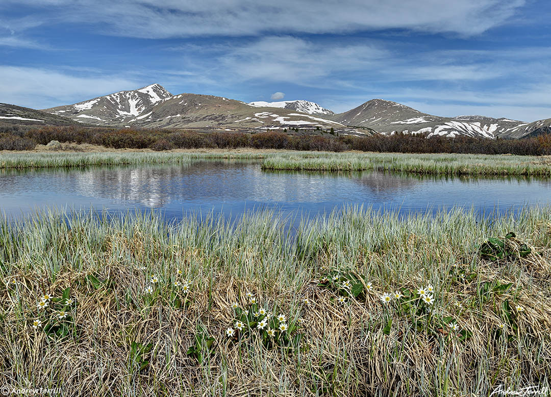 guanella pass in june 2022