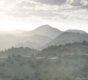 evening light foothills colorado june 12 2022