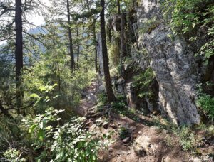 forest trail colorado front range june 13 2022