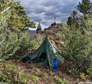 camp spring morning flowers may 29 2022 colorado