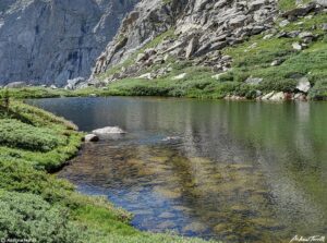 colorado wild swimming july 18 2022