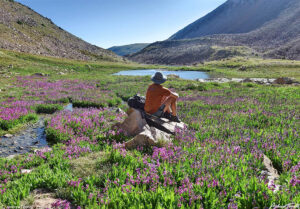 James Peak Wilderness Colorado sitting amid august 12 2022