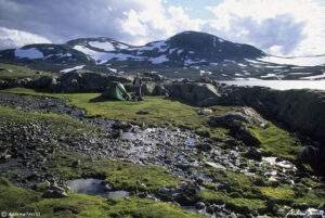 camp in the Borgerfjell Aug 2 1998