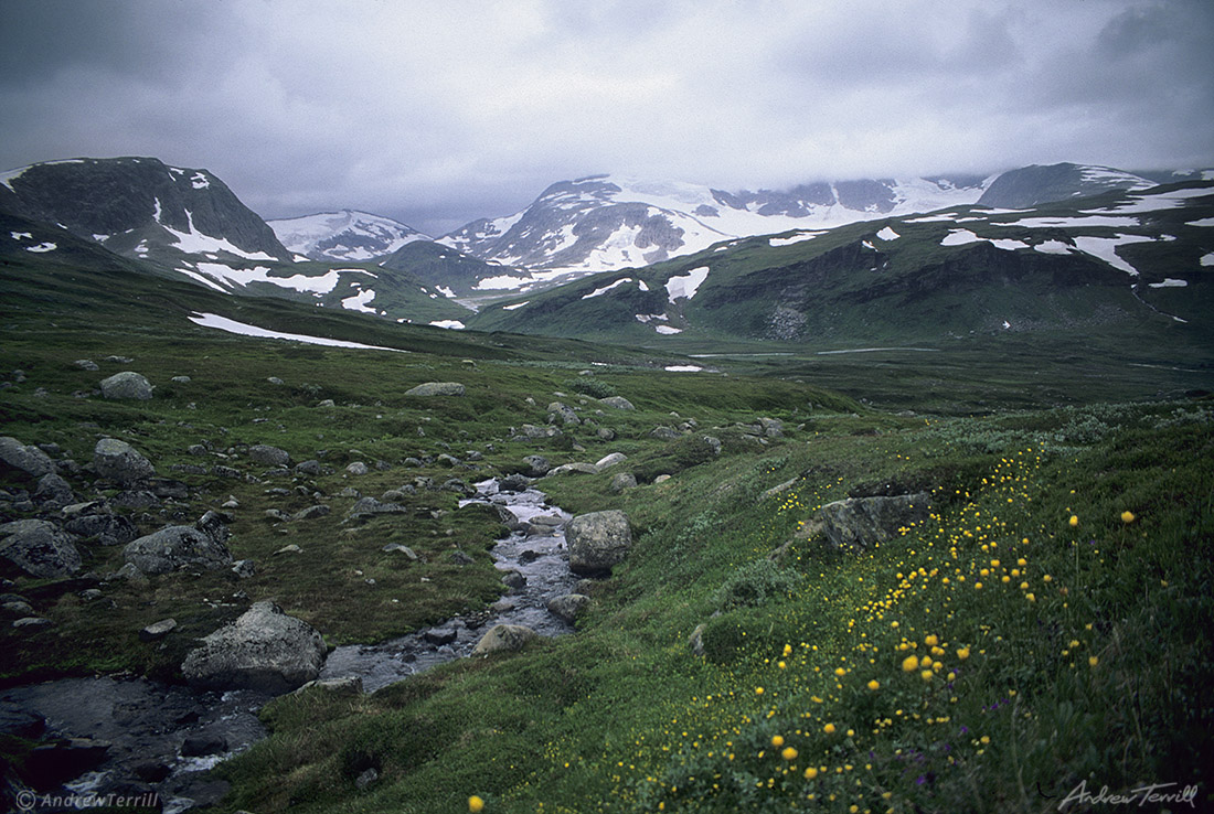 borgefjell august 4 1998