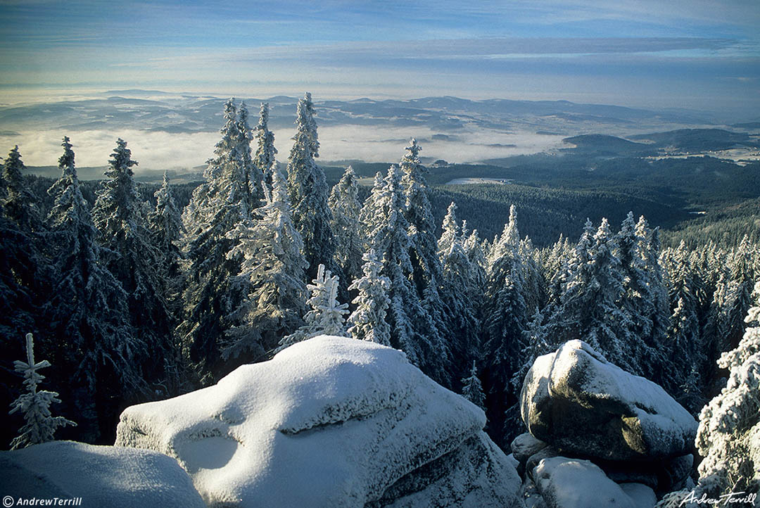 winter in the Bohemian Forest